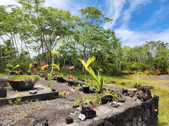 15-2064 26th Ave, Keaau, HI 96749 - view of yard