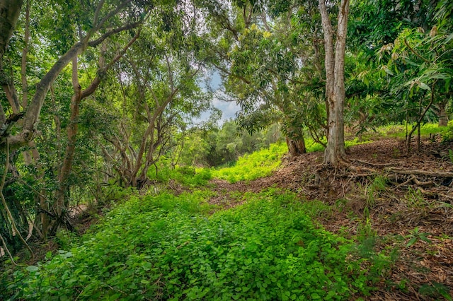 Apopo Rd, Kapaa, HI 96746 - photo 2