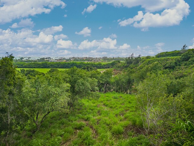 Apopo Rd, Kapaa, HI 96746 - photo 4