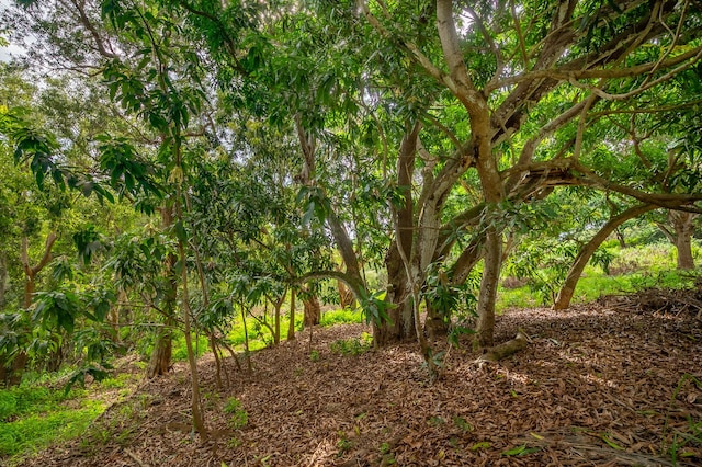 Apopo Rd, Kapaa, HI 96746 - photo 6