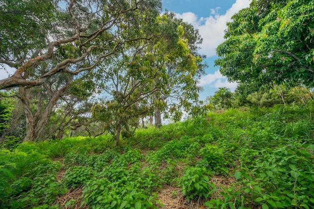 Apopo Rd, Kapaa, HI 96746 - photo 7