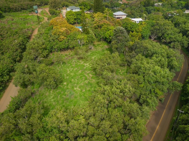 Apopo Rd, Kapaa, HI 96746 - photo 9