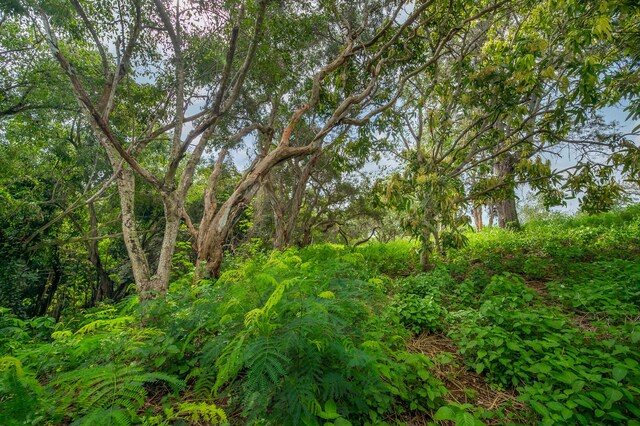 Apopo Rd, Kapaa, HI 96746 - photo 10