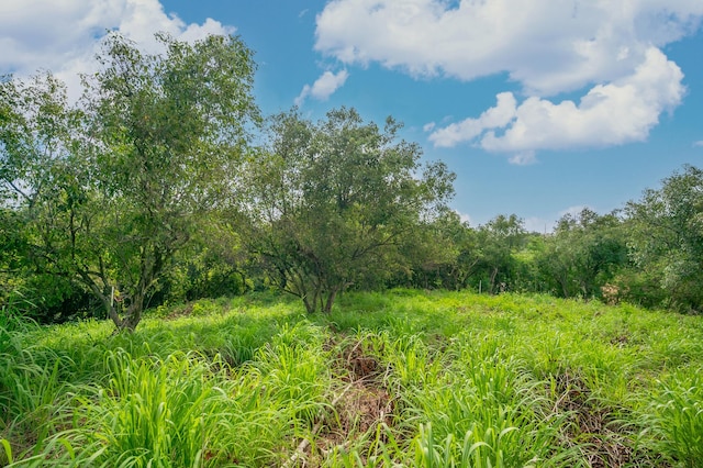 Apopo Rd, Kapaa, HI 96746 - photo 11