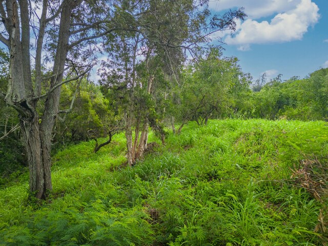Apopo Rd, Kapaa, HI 96746 - photo 12