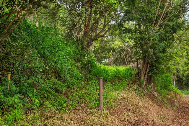 Apopo Rd, Kapaa, HI 96746 - photo 13