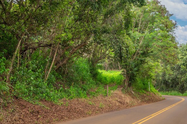 Apopo Rd, Kapaa, HI 96746 - photo 15