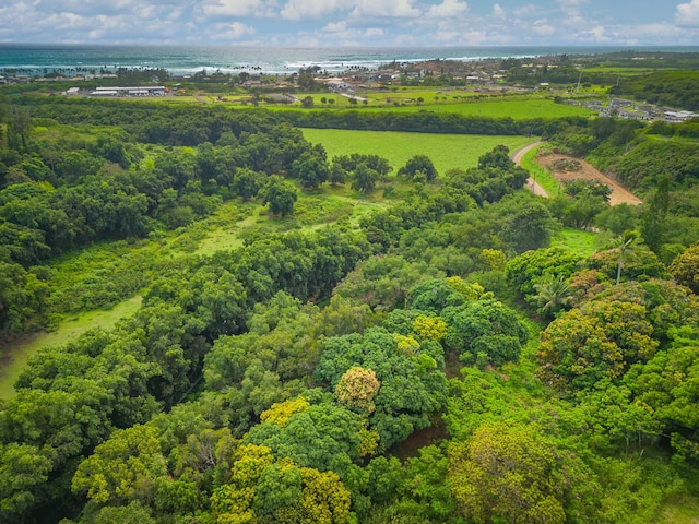 Apopo Rd, Kapaa, HI 96746 - photo 16