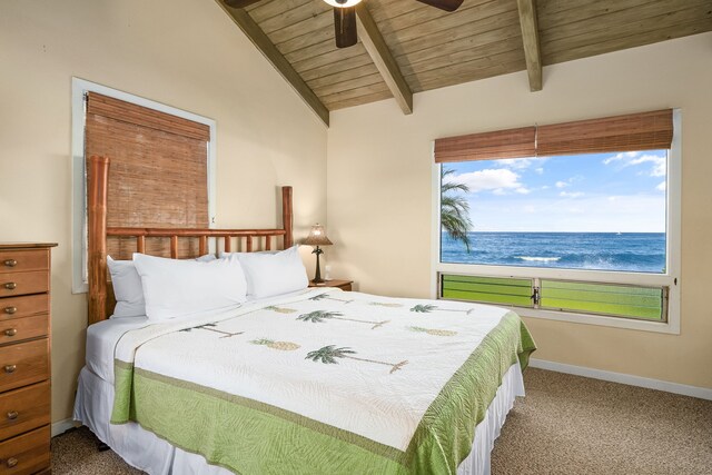 4770 Lawai Rd, Koloa, HI 96756 - photo 11