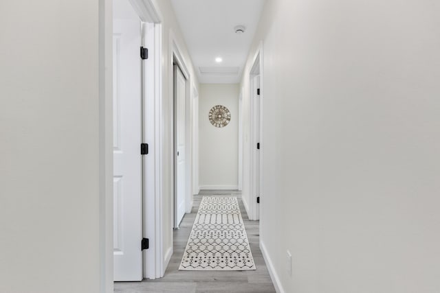 16-2050 Pikake Dr, Pahoa, HI 96778 - hallway with light wood-style flooring and recessed lighting