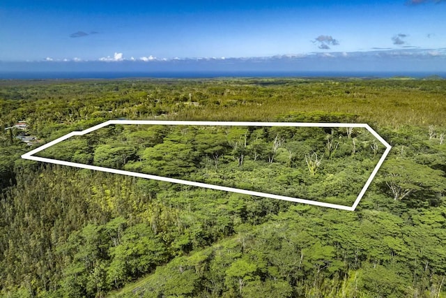 Pahoa Kapoho Rd, Pahoa, HI 96778 - photo 1
