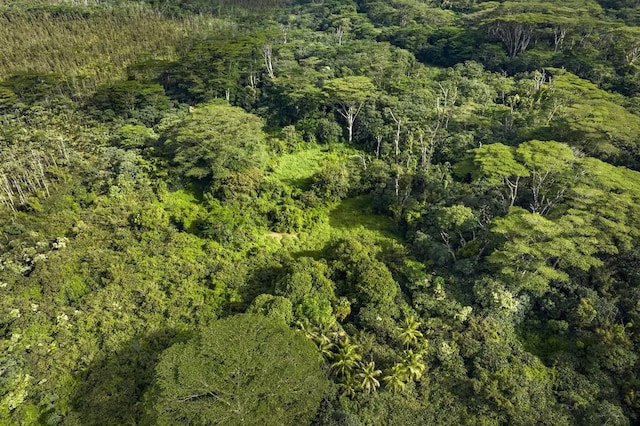 Pahoa Kapoho Rd, Pahoa, HI 96778 - photo 11