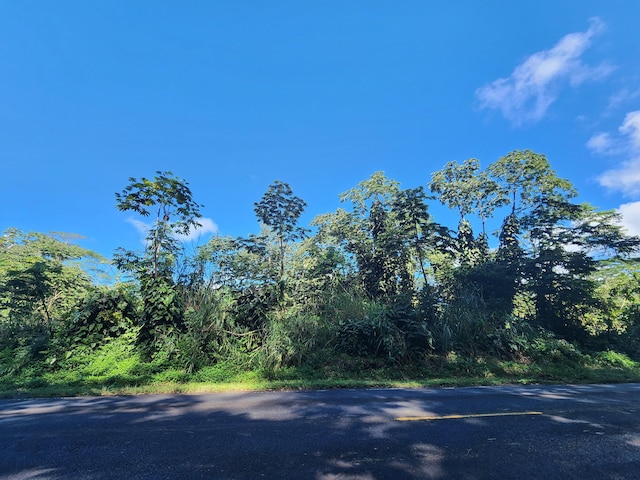 Pahoa Kapoho Rd, Pahoa, HI 96778 - photo 3