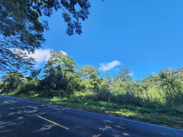 Pahoa Kapoho Rd, Pahoa, HI 96778 - photo 5