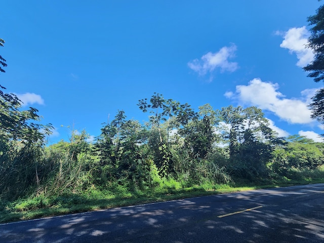Pahoa Kapoho Rd, Pahoa, HI 96778 - photo 7