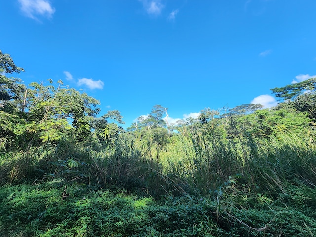 Pahoa Kapoho Rd, Pahoa, HI 96778 - photo 9