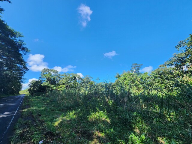 Pahoa Kapoho Rd, Pahoa, HI 96778 - photo 10