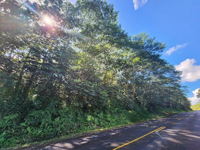 Pahoa Kapoho Rd, Pahoa, HI 96778 - photo 8
