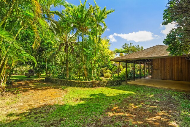 6161 Holio Rd, Kapaa, HI 96746 - view of grassy yard featuring a carport