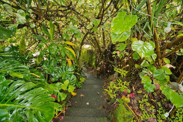 16-1381 Pohaku Cir, Keaau, HI 96749 - exterior view
