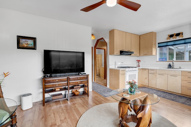64-5270 Hoohoa St, Kamuela, HI 96743 - living room with light wood-style floors and a ceiling fan
