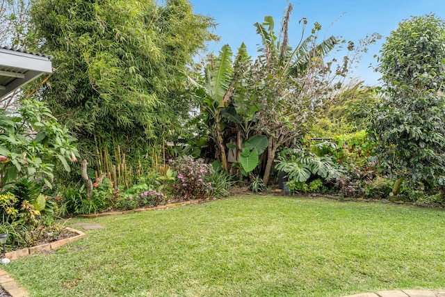 64-5270 Hoohoa St, Kamuela, HI 96743 - view of green lawn