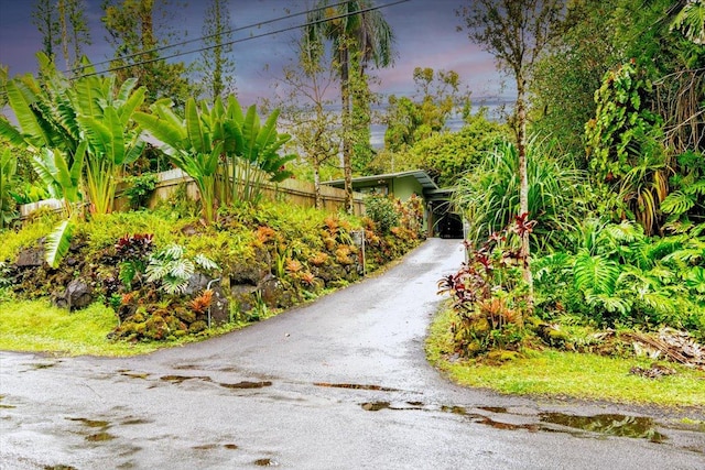 12-4266 Ocean View Pkwy, Pahoa, HI 96778 - view of asphalt driveway