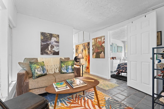 15-1913 Beach Rd, Keaau, HI 96749 - living room featuring a textured ceiling
