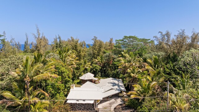 15-1913 Beach Rd, Keaau, HI 96749 - aerial view of property and surrounding area