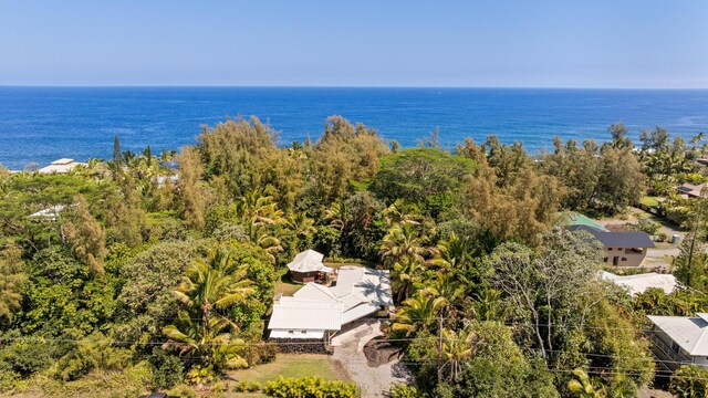 15-1913 Beach Rd, Keaau, HI 96749 - bird's eye view of a nearby body of water