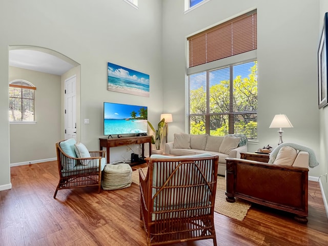 68-1125 Kaniku Dr Unit 1601, Kamuela, HI 96743 - living area featuring arched walkways, wood finished floors, baseboards, and a towering ceiling