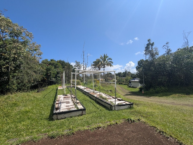 15-1468 23rd Ave, Keaau, HI 96749 - surrounding community featuring a lawn