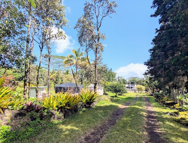 15-1468 23rd Ave, Keaau, HI 96749 - view of green lawn