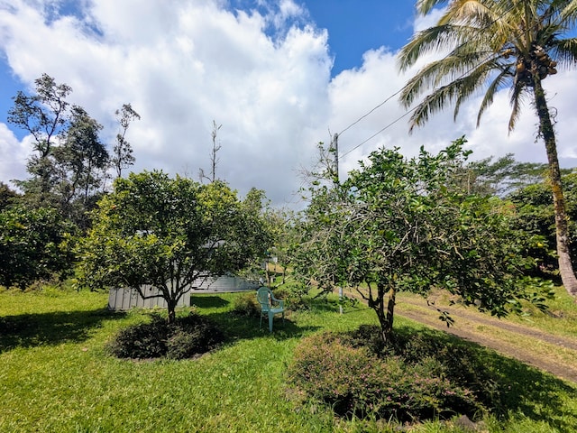 15-1468 23rd Ave, Keaau, HI 96749 - view of grassy yard