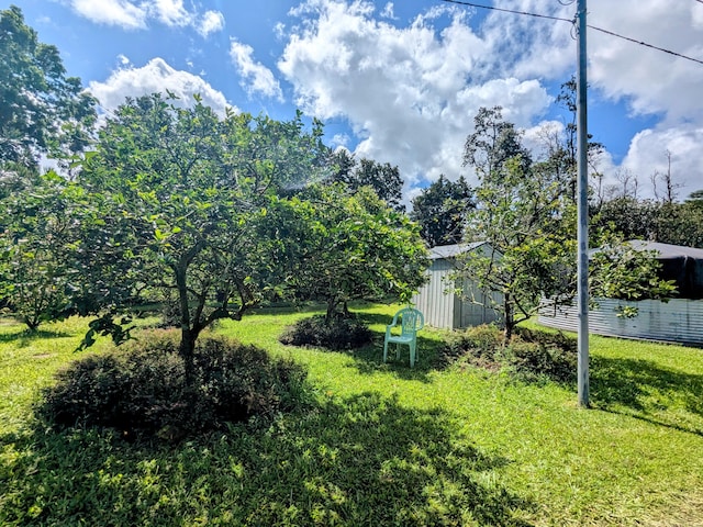 15-1468 23rd Ave, Keaau, HI 96749 - view of green lawn featuring an outbuilding