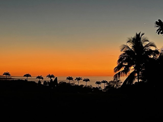 62-3600 Amaui Pl Unit 345, Waimea, HI 96743 - view of nature featuring a nearby body of water