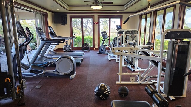 62-3600 Amaui Pl Unit 345, Waimea, HI 96743 - workout area with healthy amount of natural light, ceiling fan, crown molding, and a raised ceiling