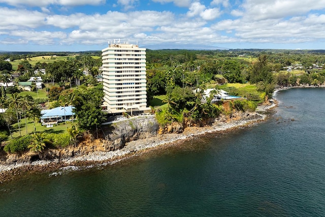 84 Pukihae St Unit 1106, Hilo, HI 96720 - drone / aerial view of a large body of water