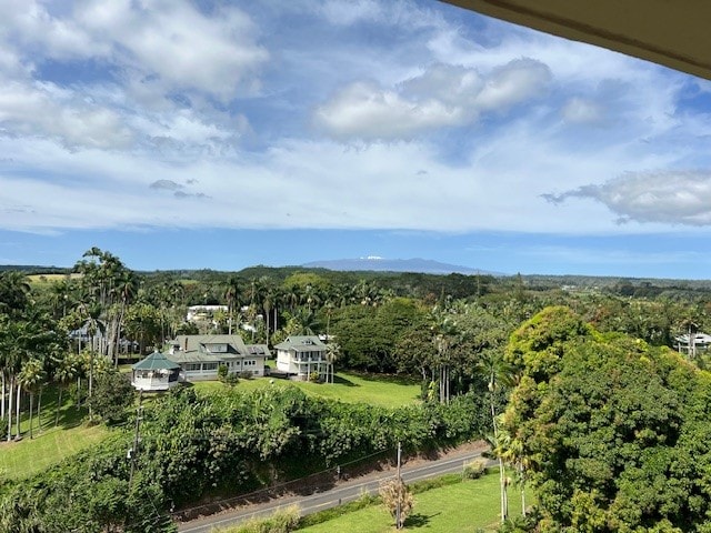 84 Pukihae St Unit 1106, Hilo, HI 96720 - view of mountain background featuring a heavily wooded area