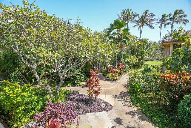 1901 Poipu Rd Unit 821, Koloa, HI 96756 - view of community