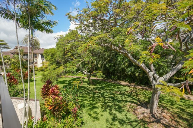 1901 Poipu Rd Unit 821, Koloa, HI 96756 - view of grassy yard