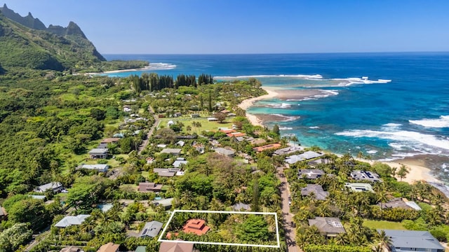 7315 Alealea Rd, Hanalei, HI 96714 - aerial view of residential area with property boundaries highlighted and expansive beach