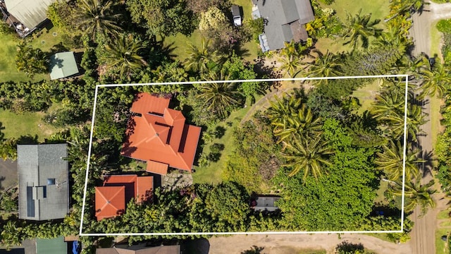 7315 Alealea Rd, Hanalei, HI 96714 - aerial view of property and surrounding area featuring property boundaries highlighted