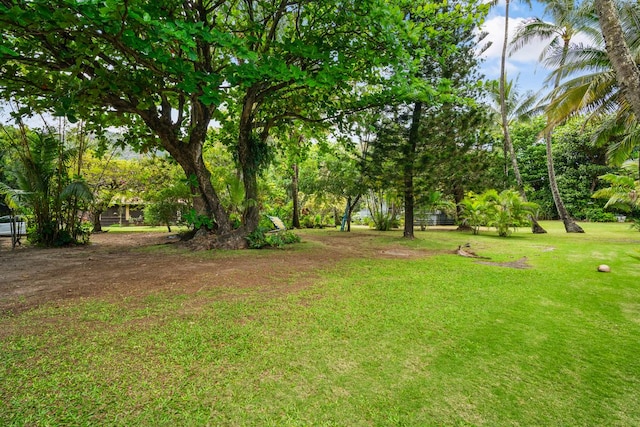 7315 Alealea Rd, Hanalei, HI 96714 - view of green lawn