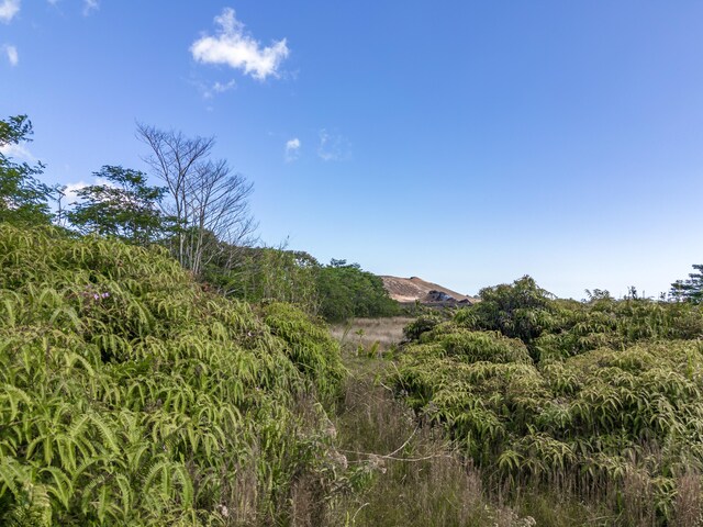 13-3559 Kupono St, Pahoa, HI 96778