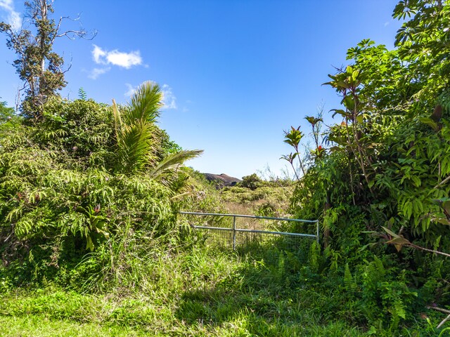 13-3559 Kupono St, Pahoa, HI 96778