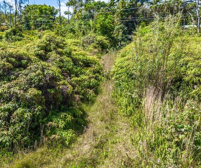 13-3559 Kupono St, Pahoa, HI 96778