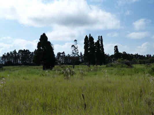 Volcano Hwy, Volcano, HI 96785