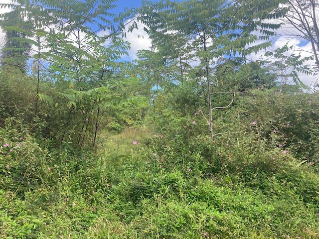 14-3481 Shell Rd, Pahoa, HI 96778