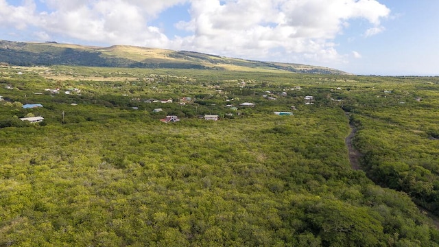 Kaalualu Rd, Naalehu, HI 96772